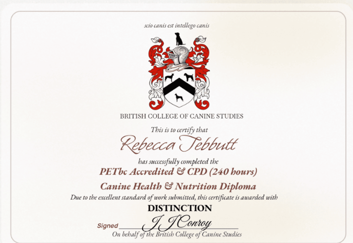 Certificate of Professional Development